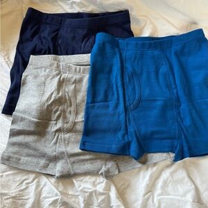 NWOT Boys Hanna Andersson Organic boxer briefs